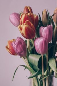 vibrant tulips fo newly engaged couple image