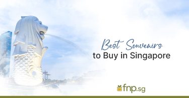 Best Souvenir Gifts in Singapore