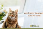 Are Flower Bouquets Safe for Cats?