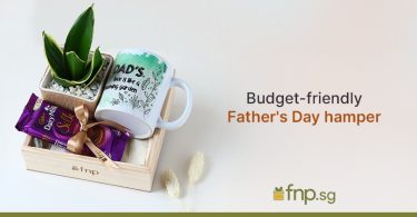budget friendly fathers day hamper cover image