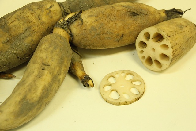 Lotus roots for mid autumn