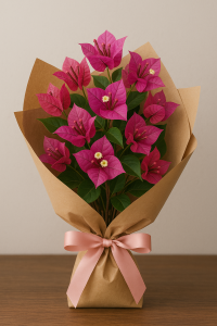 Bougainvillaea in brown paper wrap
