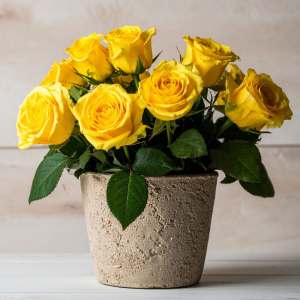 Yellow roses fnp sg image