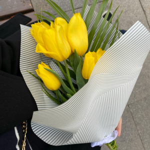 Yellow Tulips november month flower