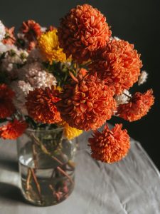 Chrysanthemums flower image