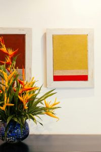 Birds of paradise-exotic flower image