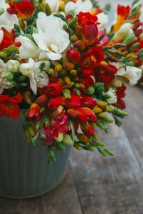 Red and White Flowers image 